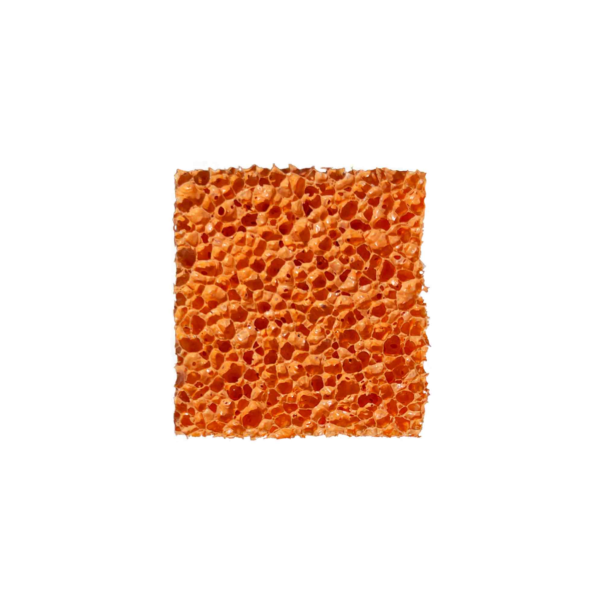 Small Pore Stipple Sponge — Black Lagoon Supply Co.
